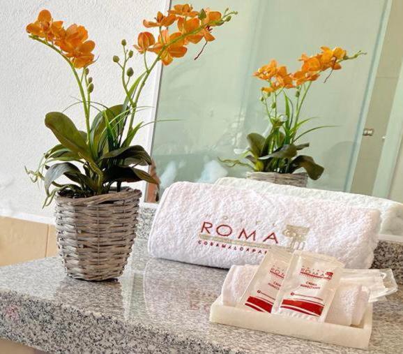 Hotel Roma Cosamaloapan de Carpio Екстер'єр фото